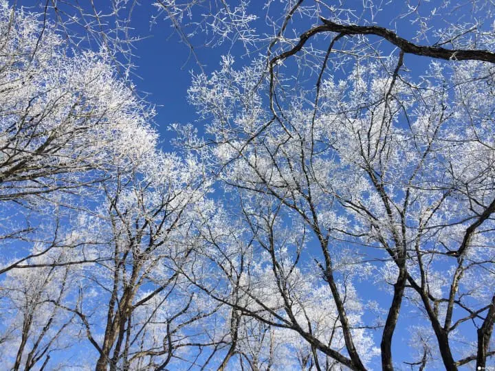 仙境般的秘境鳥沼公園