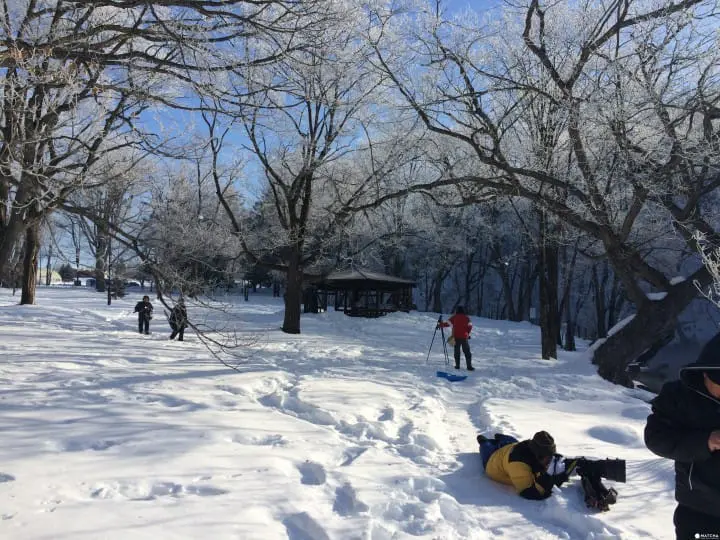 仙境般的秘境鳥沼公園