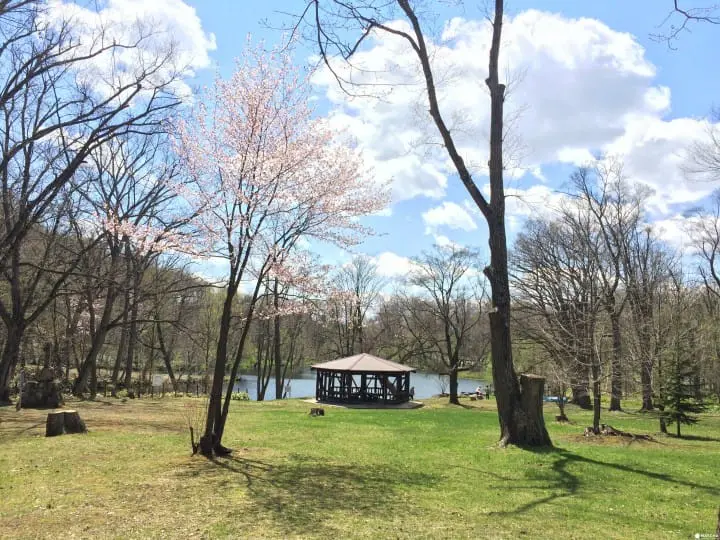 仙境般的秘境鳥沼公園