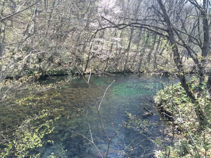 仙境般的秘境鳥沼公園