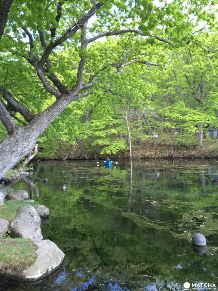 北海道秘境大公開『鳥沼公園』宛如置身飄渺仙境