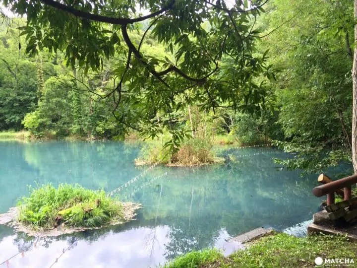 北海道秘境大公開『鳥沼公園』宛如置身飄渺仙境