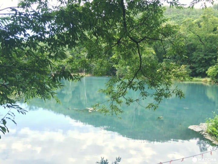 北海道秘境大公開『鳥沼公園』宛如置身飄渺仙境
