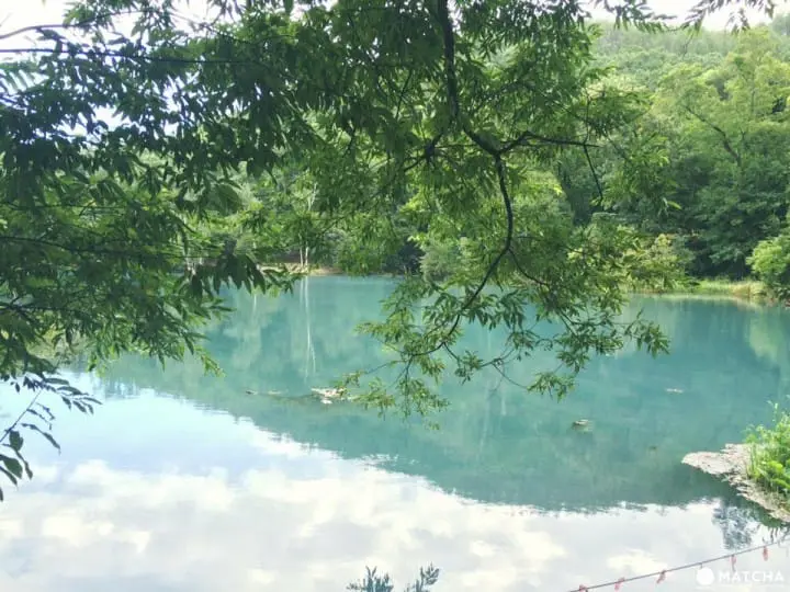 北海道秘境大公開『鳥沼公園』宛如置身飄渺仙境