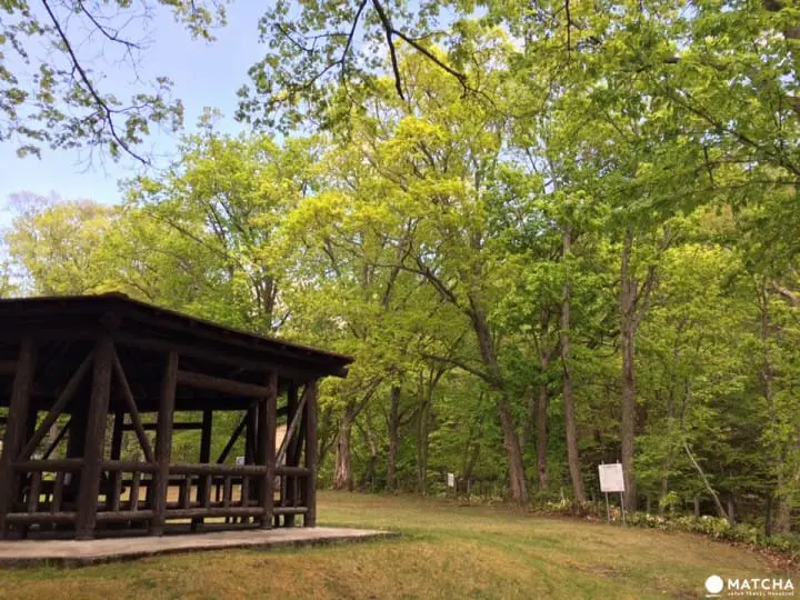 北海道秘境大公開『鳥沼公園』宛如置身飄渺仙境