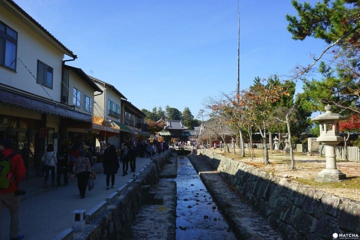 これだけは必見!廣島・宮島で見ておきたい観光スポット