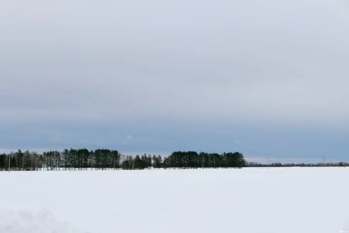 帶廣。戀人必去聖地！在北海道雪白國度裡一同奔向「幸福」！