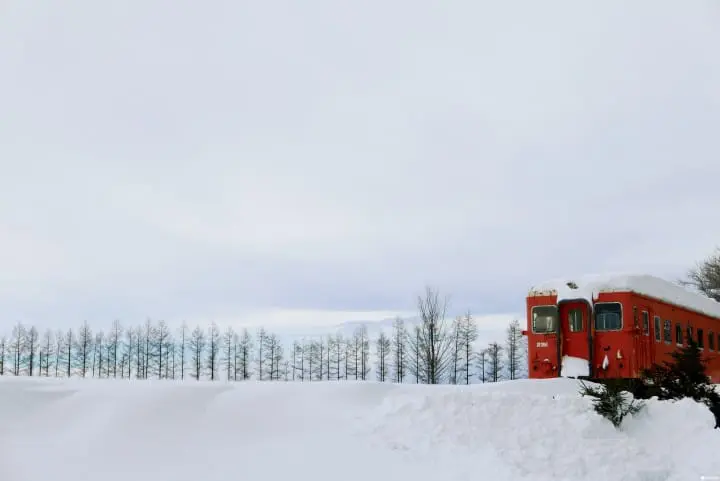 帶廣。戀人必去聖地！在北海道雪白國度裡一同奔向「幸福」！