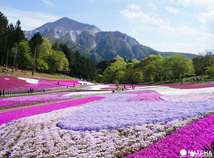 Saitama Travel Guide: 35 Sightseeing Spots, Food, Shopping And More!