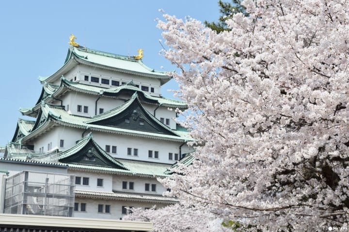 【春】日本春天旅遊食衣住行須知