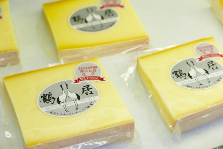 往最美丽村庄前进!丹顶鹤故乡“鹤居村”旅行计划