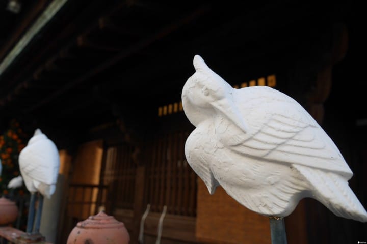 道後溫泉