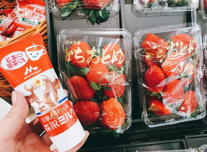 [ 春季限定 ] 春天来日本一定要搜集的『草莓商品』一次报你知！