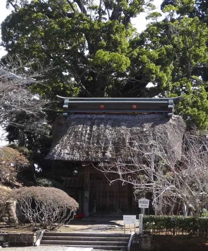 Seichoji and Tanjoji Temples: Visit two beautiful temples and learn the origin of Nichiren Buddhist