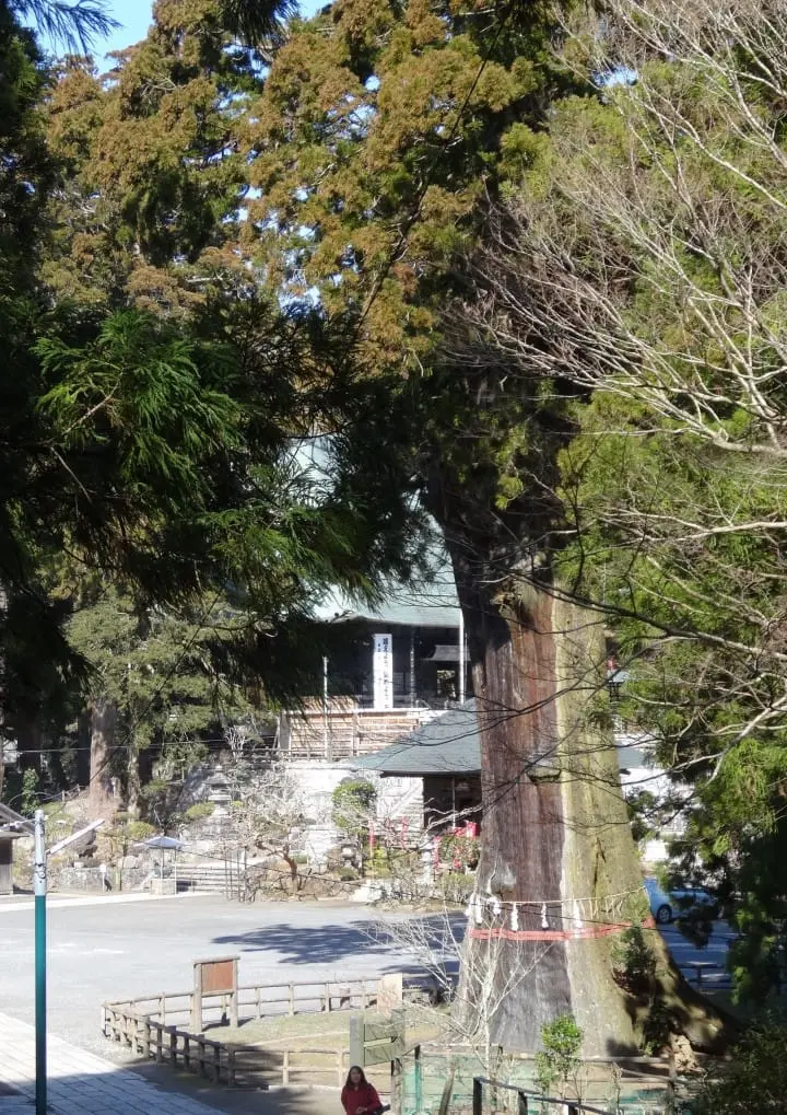 Seichoji and Tanjoji Temples: Visit two beautiful temples and learn the origin of Nichiren Buddhist