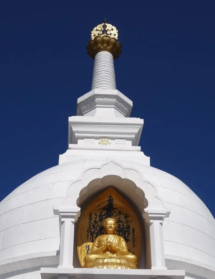 Seichoji and Tanjoji Temples: Visit two beautiful temples and learn the origin of Nichiren Buddhist