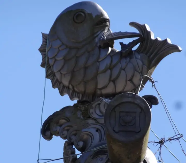 Seichoji and Tanjoji Temples: Visit two beautiful temples and learn the origin of Nichiren Buddhist