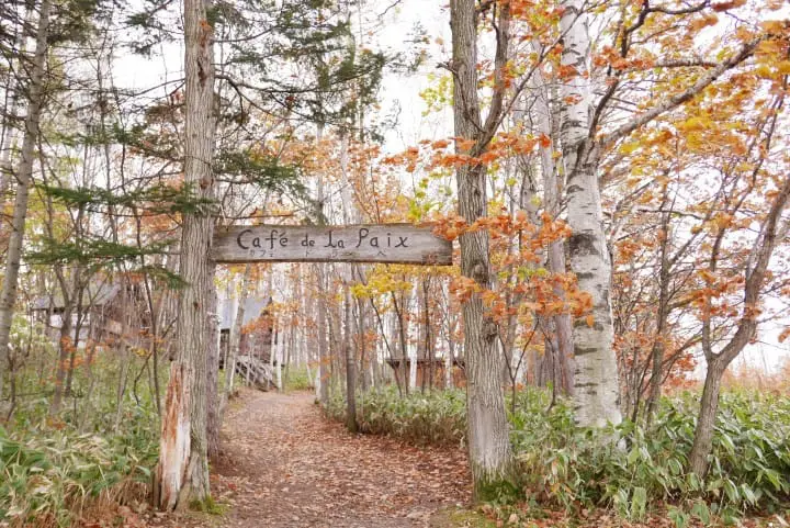 『北海道 美瑛』不预约别想吃！隐藏在森林里的法式起司锅“La Paix”