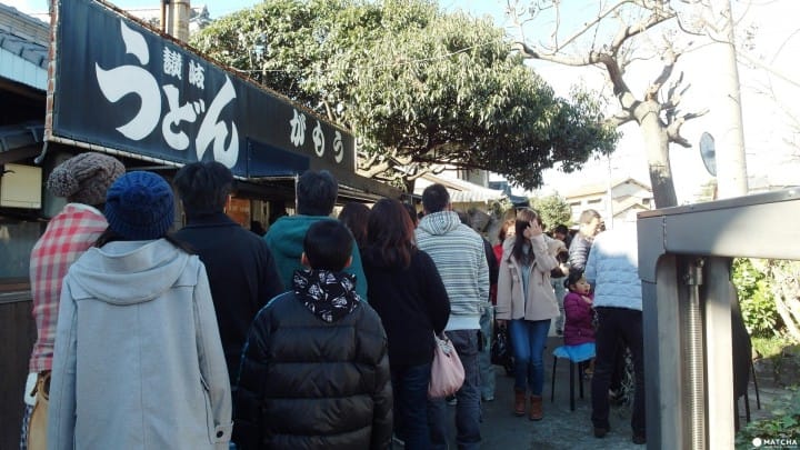滿滿的烏龍麵 觀光巴士帶你去排隊名店