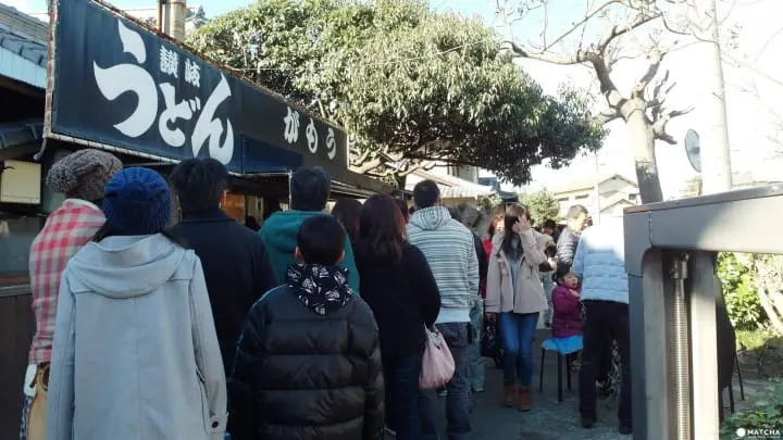 滿滿的烏龍麵 觀光巴士帶你去排隊名店 