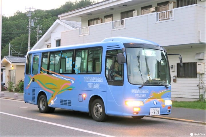 【東京都】ユネスコ世界自然遺産・小笠原「父島」の移動方法