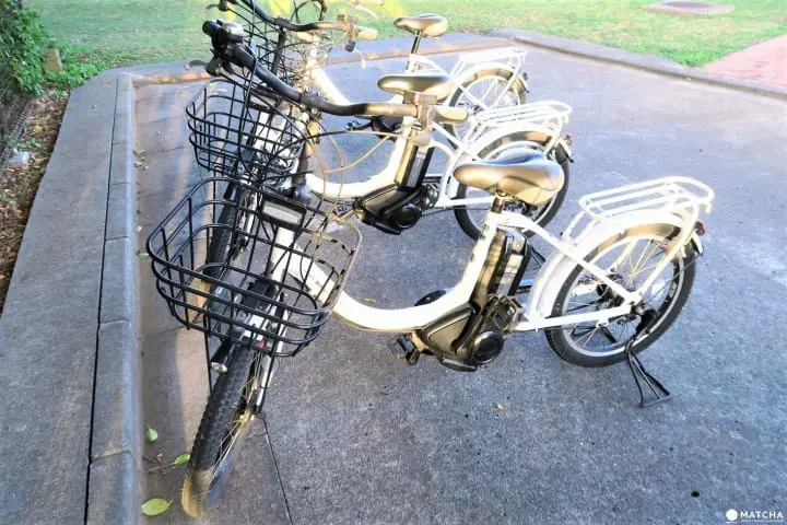 Transportation Methods on the World Heritage Site, Chichijima Island