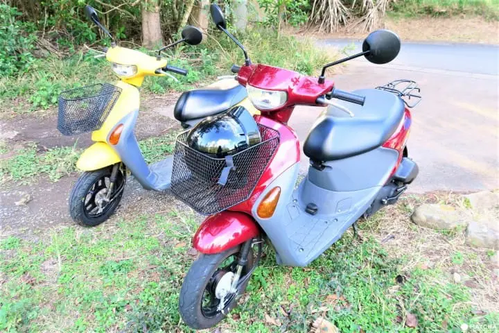Transportation Methods on the World Heritage Site, Chichijima Island