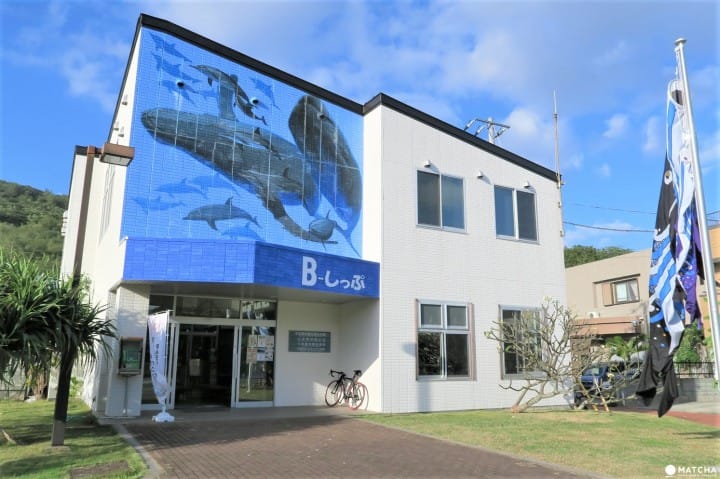 世界自然遺産・小笠原「父島」の歩いてまわれるスポット