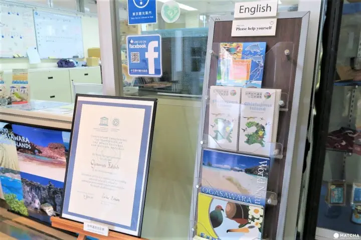 世界自然遺産・小笠原「父島」の歩いてまわれるスポット