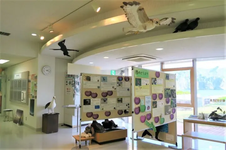 世界自然遺産・小笠原「父島」の歩いてまわれるスポット