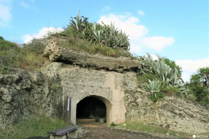 世界自然遺産・小笠原「父島」の歩いてまわれるスポット