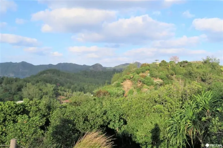 世界自然遺産・小笠原「父島」の歩いてまわれるスポット