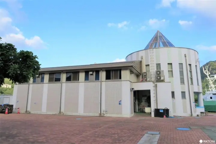 世界自然遺産・小笠原「父島」の歩いてまわれるスポット