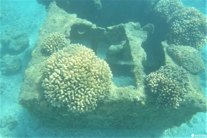 世界自然遺産・小笠原「父島」の驚くほど美しいビーチ8選