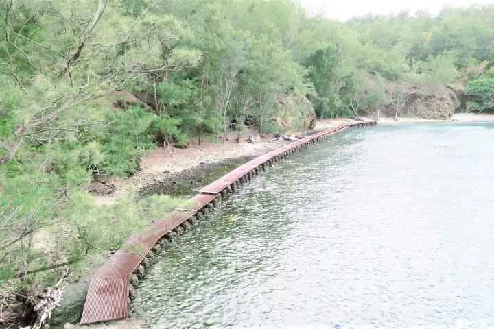 世界自然遺産・小笠原「父島」の驚くほど美しいビーチ8選