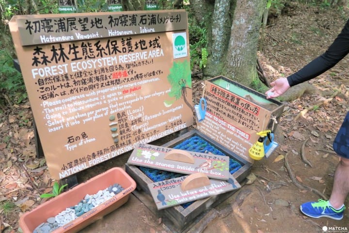 世界自然遗产・小笠原「父岛」の惊くほど美しいビーチ8选