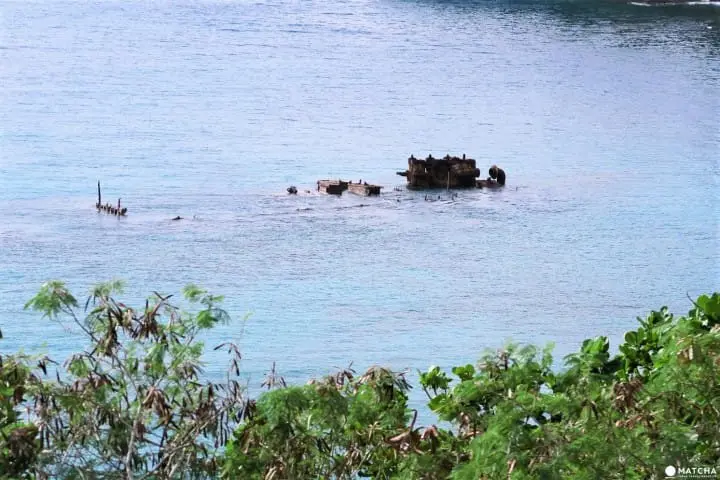 世界自然遺産・小笠原「父島」で見られる展望台からの絶景