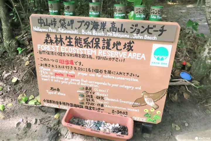 世界自然遺産・小笠原「父島」で見られる展望台からの絶景