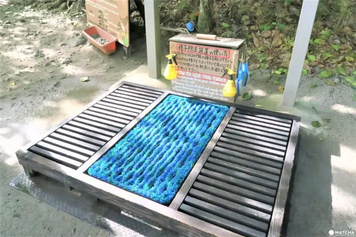 世界自然遺産・小笠原「父島」で見られる展望台からの絶景