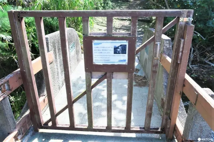 世界自然遺産・小笠原「父島」で見られる展望台からの絶景