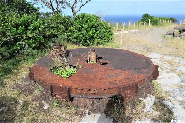 世界自然遺産・小笠原「父島」で見られる展望台からの絶景