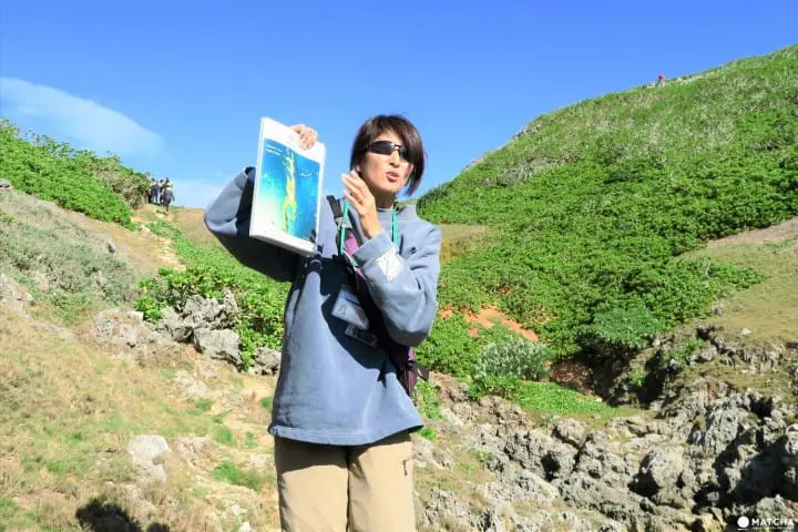 世界自然遺産・小笠原「父島」で絶対体験したいアクティビティ