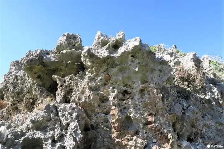 世界自然遺産・小笠原「父島」で絶対体験したいアクティビティ