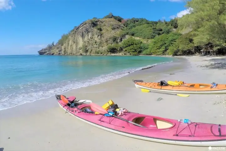 世界自然遺産・小笠原「父島」で絶対体験したいアクティビティ