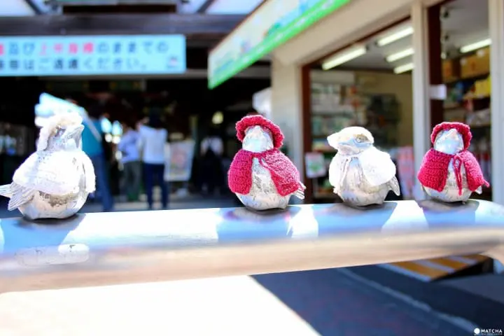 每一站都想下车打卡！江之电真正该拍的景点