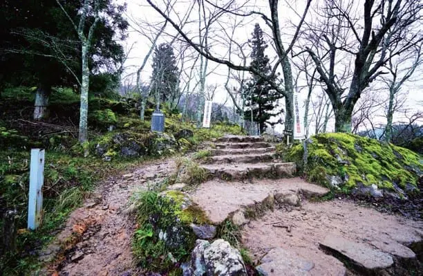 运气和人品够好才能看到的“天空之城”―竹田城