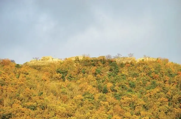 运气和人品够好才能看到的“天空之城”―竹田城