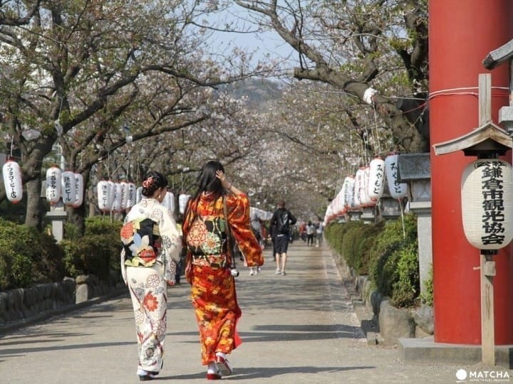 Panduan Lengkap Kamakura: 20 Spot Wajib, Kafe, Kuliner, Event, dan Transportasi