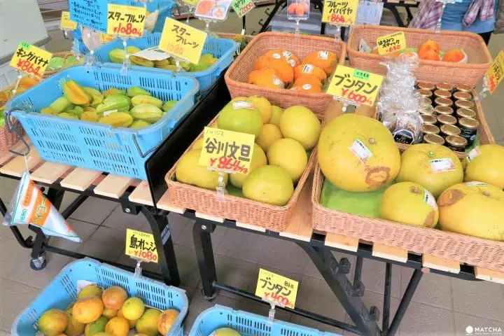 世界自然遺産・小笠原「父島」絶海の離島に息づく固有の文化と歴史