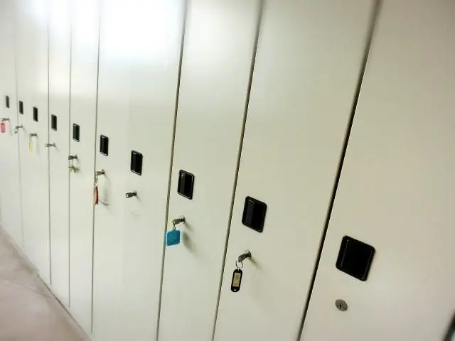 暑い夏は、日本の海で海水浴を楽しもう! ルール・海開き・持ち物・アクティブ